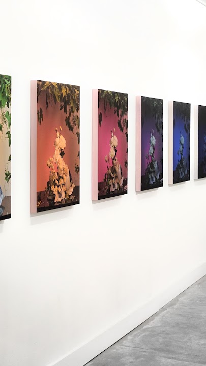 Gallery 881 - Lens-based Contemporary Art Gallery